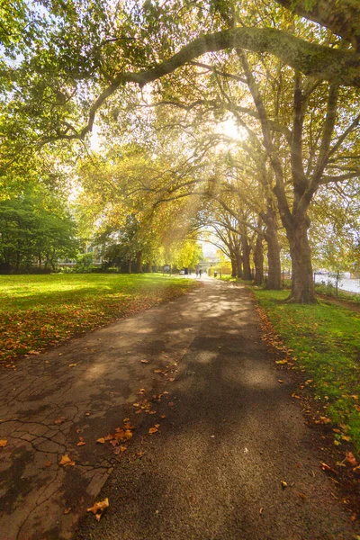 Vertical Shot Road Park Kingston Thames — Stock Photo, Image