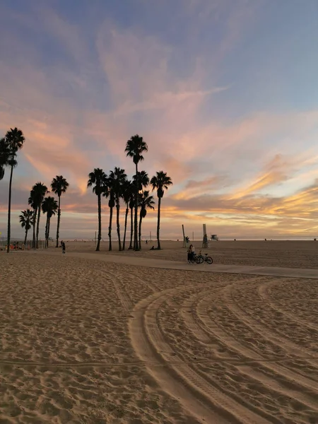 Beautiful Shot Palm Trees Sandy Beach Santa Monica Pink Sky — Stock Photo, Image