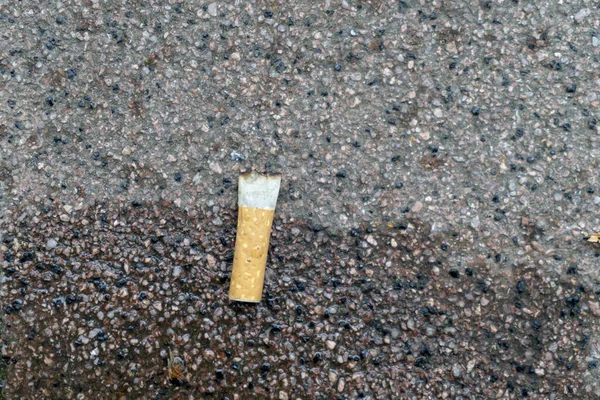 Closeup Cigarette Butt Ground — Stockfoto