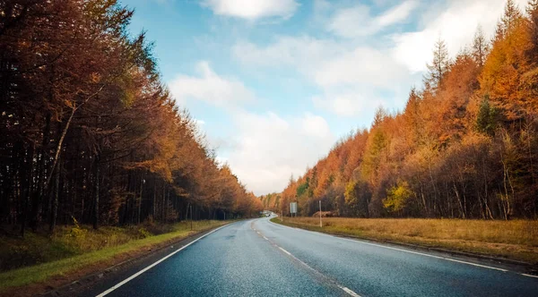 가을철 나무들이 구름낀 도로의 아름다운 — 스톡 사진