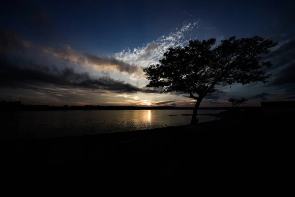 Scenic View Tree Lake Sunset Sky Background — Fotografia de Stock