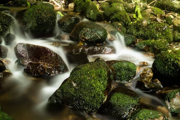 Long Exposure Shot Stream Flowing Mossy Rocks Forest — Stock Photo, Image