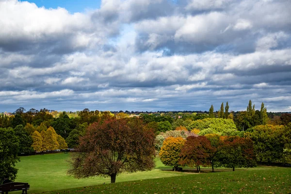 Una Hermosa Vista Del Parque Con Árboles Cielo Con Nubes — Foto de Stock