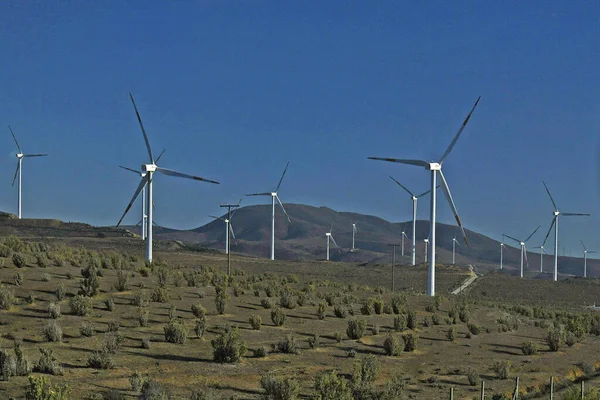 Blue Sky Field Rows Wind Turbines Sunny Day Chile — Stock Photo, Image