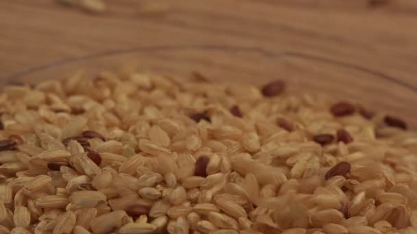 Buğday Taneleri Yakın Çekim — Stok video