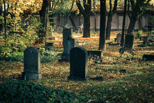 波兰Opole 2021年10月23日 波兰Opole一个非常古老的废弃天主教墓地 恐怖概念 — 图库照片