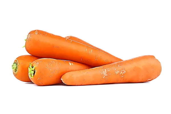 Морковь Овощи Вырезаны Белом Изолированном Фоне Мультфильм Вектор — стоковое фото