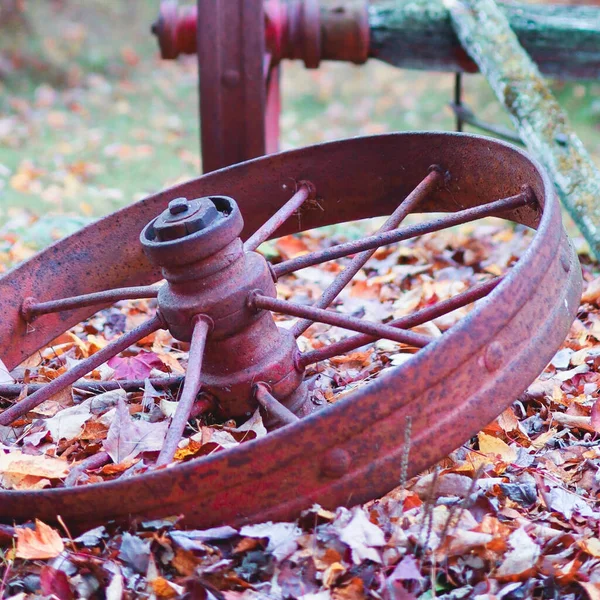 Weathered Wagon Wheel Dried Leaves — Fotografia de Stock