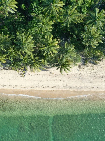 Прекрасный Вид Пляж Пальмы Солнечный День — стоковое фото