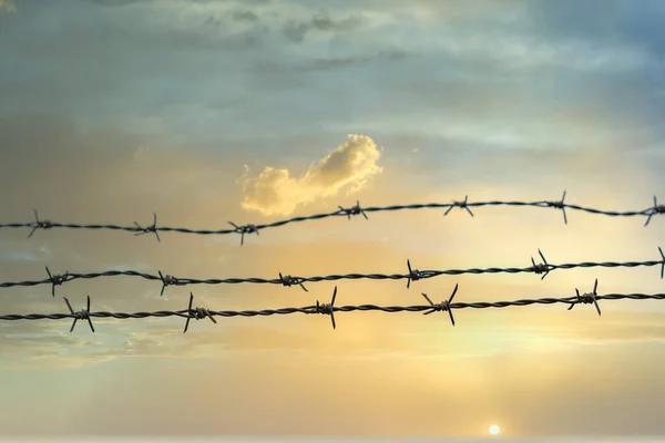 barbed wire with cloudy sky in the background fences in the field