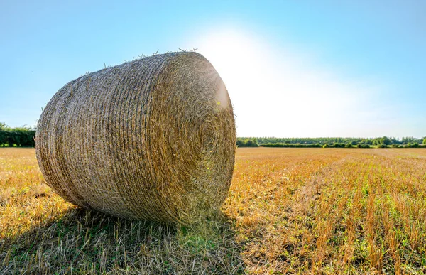 Agricultural Hay Bale Field Sunrise — Fotografia de Stock