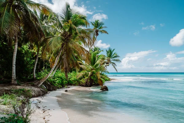 Beautiful Shot Beach Surrounded Palms — Foto Stock