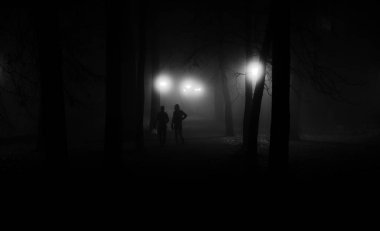 two people on a foggy night in a park in Tartu clipart