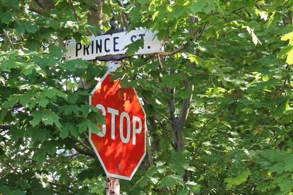 树叶后面的红色 标志和 王子街 — 图库照片