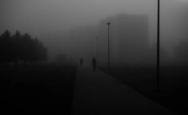 Two People Foggy Summer Morning Tartu — Stockfoto