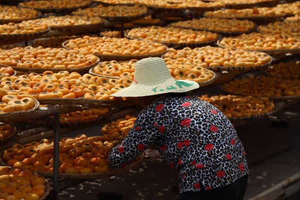 Farmer Organizing Freshly Picked Persimmons Baskets — Fotografia de Stock