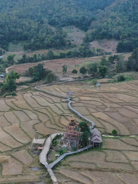 美丽的风景 有高大的树木和田野 — 图库照片