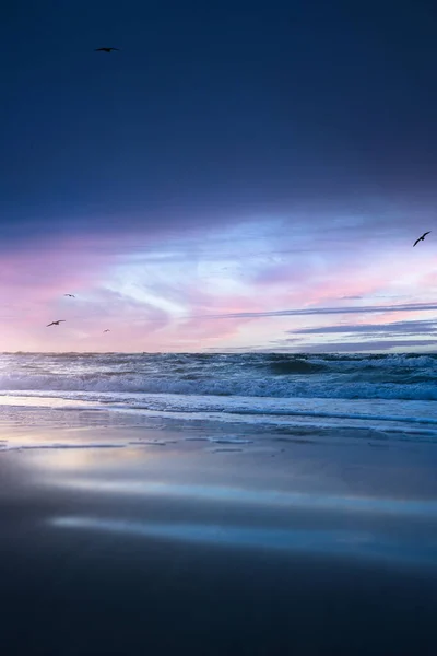 Vertikální Záběr Ptáků Letících Nad Mořem Při Západu Slunce — Stock fotografie
