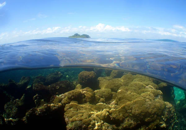 Подводный Вид Скалистое Море — стоковое фото