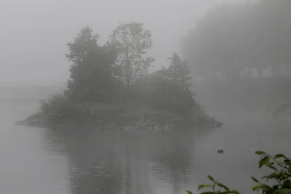 Scenic View Trees Surrounded Lake Foggy Weather — Fotografia de Stock