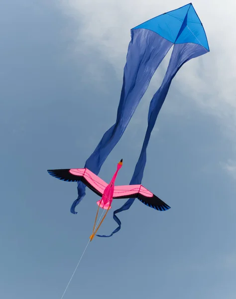 Vertical Shot Colorful Kite Flying Sky — Stock Photo, Image