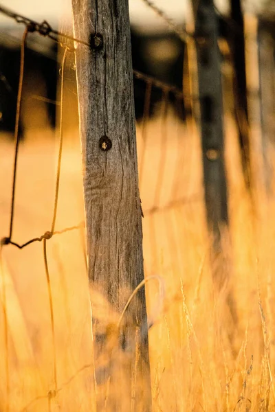 Kahverengi Bir Alanda Tahta Bir Çit Direğinin Dikey Görüntüsü — Stok fotoğraf