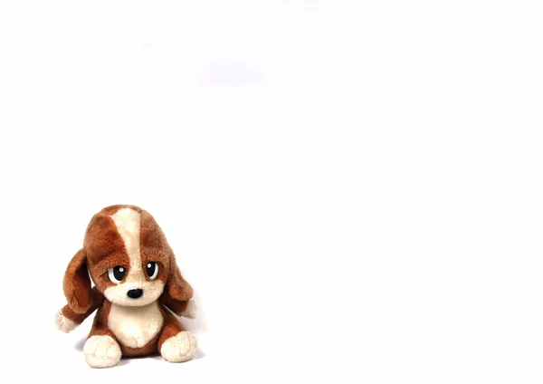 Copyspace Strzał Cute Brązowy Pies Zabawka Izolowana Białym Tle — Zdjęcie stockowe