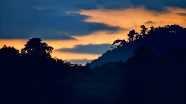Beautiful View Mountainous Landscape Tree Forests Sunset — Foto Stock