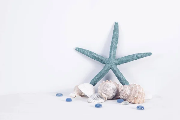 Close Shot Starfish Seashells White Background — Stockfoto
