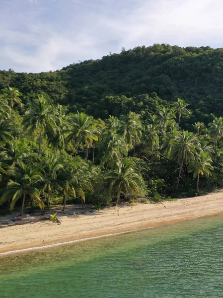 Mavi Gökyüzünün Altında Büyük Ağaçlar Palmiyeler Olan Güzel Bir Sahil — Stok fotoğraf