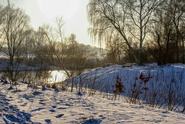 Une Rivière Glacée Qui Coule Dans Parc Enneigé — Photo