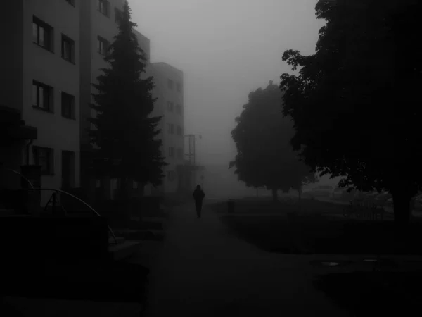 Silhouette Lone Person Foggy Morning — Stockfoto