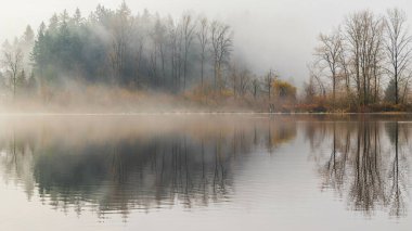 A calm lake on a foggy morning in Mill Lake, Canada clipart