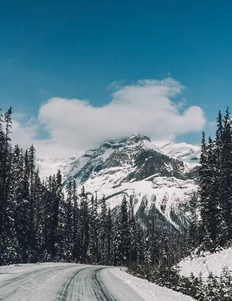 Een Prachtig Landschap Van Weg Heuvels Bedekt Met Sneeuw — Stockfoto