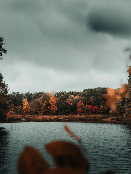 Una Impresionante Toma Lago Bosque Bajo Los Cielos Nublados Otoño — Foto de Stock