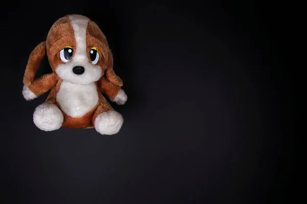 Copyspace Shot Cute Brown Dog Toy Isolated Black Background — Foto Stock