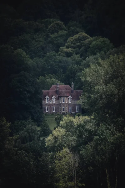 Una Hermosa Vista Una Antigua Casa Bosque Rodeada Grandes Árboles — Foto de Stock