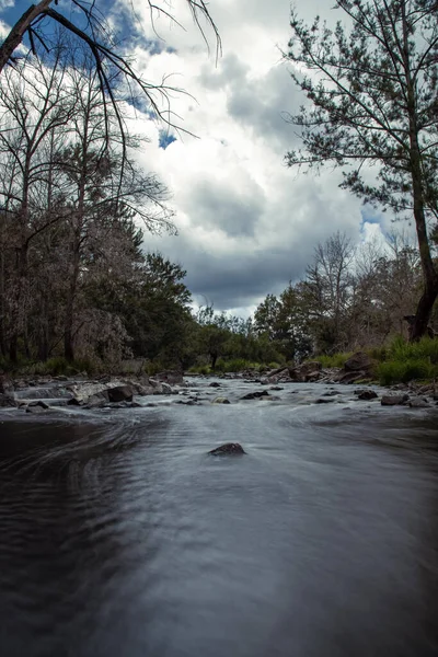 Vertical Shot River Forest Cloudy Day — Fotografia de Stock