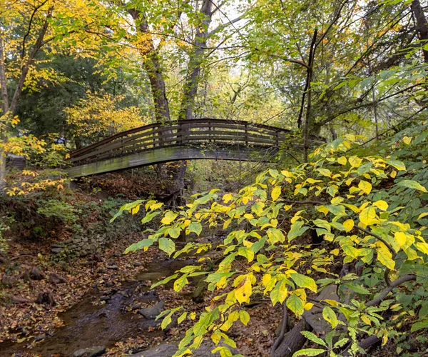 Wooden Bridge Lake Forest Day Autumn — Stock Photo, Image