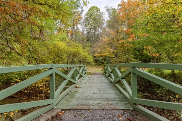 Wooden Bridge Lake Forest Day Autumn — 图库照片