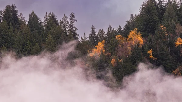 Hermosa Vista Bridal Veil Falls Chilliwack Canadá — Foto de Stock