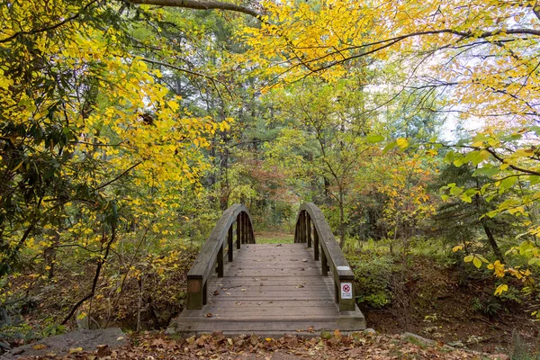 Деревянный Мост Через Озеро Лесу Течение Дня Осенью — стоковое фото