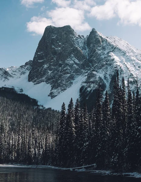 Uma Bela Paisagem Colinas Cobertas Neve — Fotografia de Stock