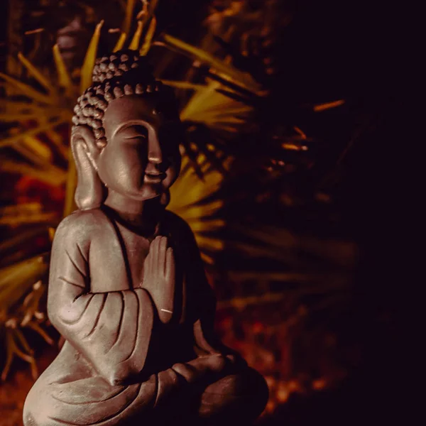 Eine Nahaufnahme Von Buddhas Statue Einem Garten — Stockfoto