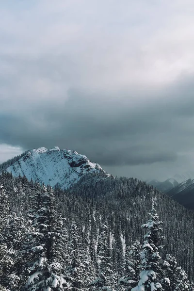 Красивый Пейзаж Холмов Покрытых Снегом — стоковое фото