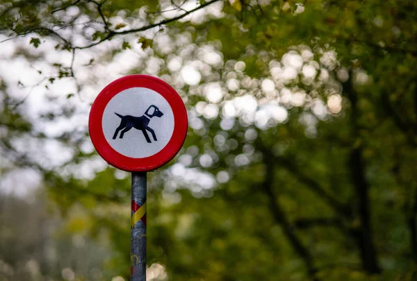 Червоний Круглий Знак Собаки Допускаються Полюсі Ізольований Природному Фоні Боке — стокове фото