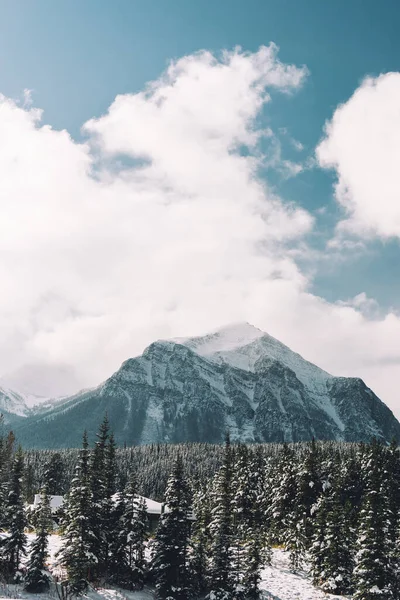 Een Prachtig Landschap Van Heuvels Bedekt Met Sneeuw — Stockfoto