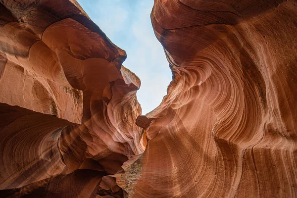 Disparo Bajo Ángulo Cañón Del Antílope Lechee Estados Unidos —  Fotos de Stock