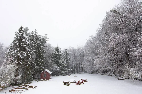 Eine Wunderschöne Winterwaldszene Mit Holzhütte Und Picknicktischen — Stockfoto