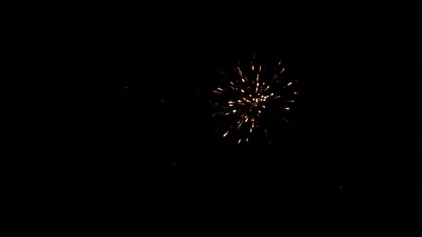 Focuri Artificii Cerul Nopții — Videoclip de stoc